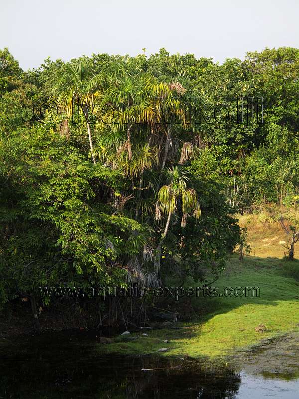 rio la guardia venezuela